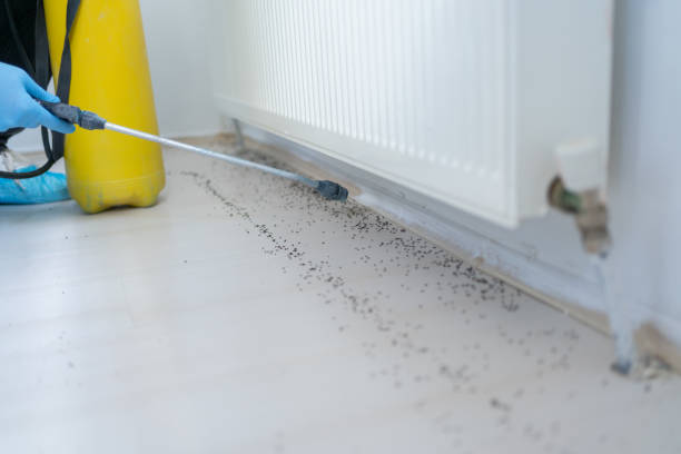 Best Wildlife Control Services  in Benson, NC